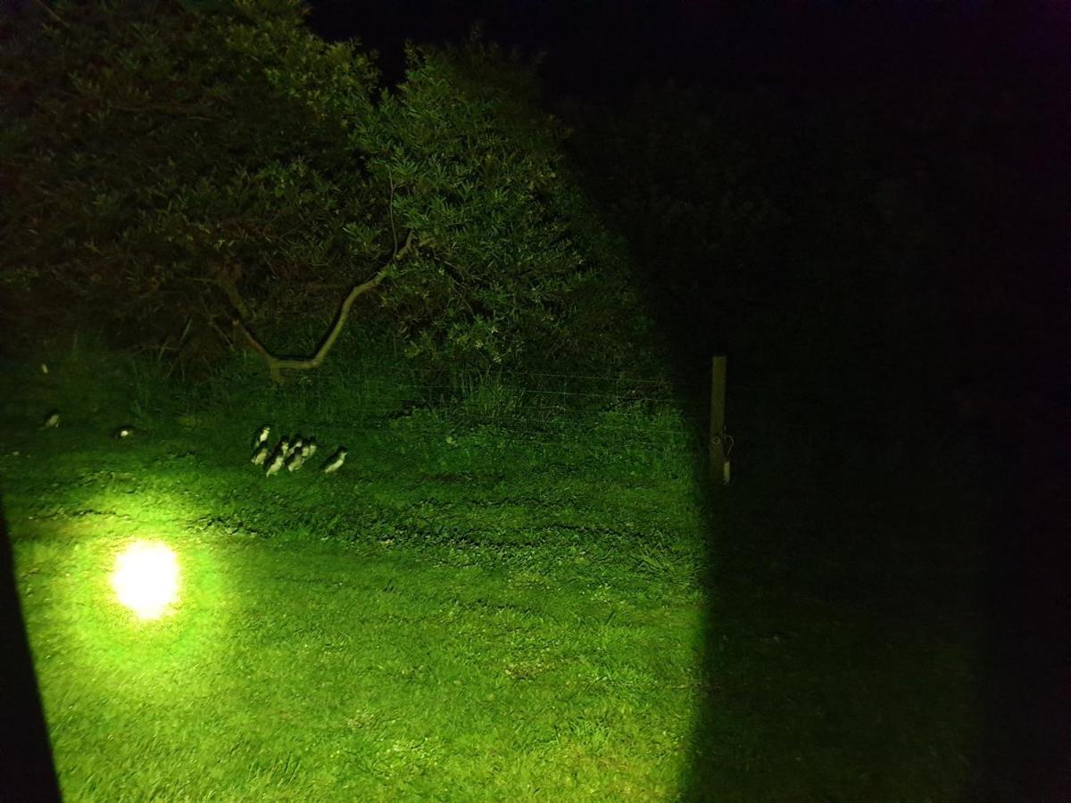 Diamond Island Resort, Restaurant & Bar And Penguin Show Bicheno Exteriör bild